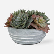Uttermost Peoria Succulent Accent Botanicals