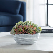 Uttermost Peoria Succulent Accent Botanicals