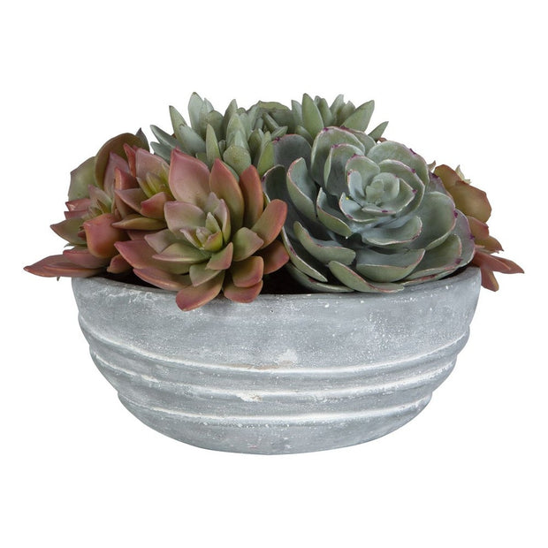 Uttermost Peoria Succulent Accent Botanicals