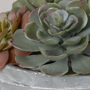 Uttermost Peoria Succulent Accent Botanicals