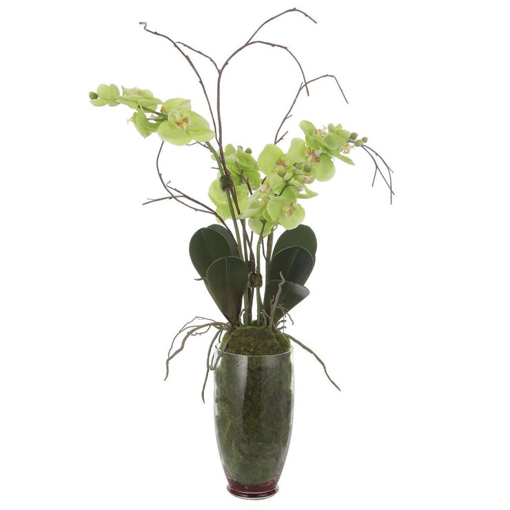 Uttermost Valdive Orchid Botanicals