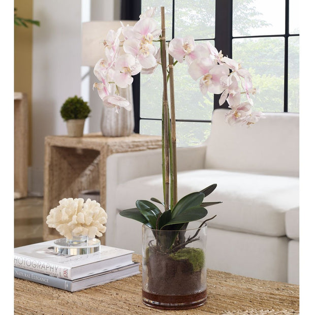 Uttermost Blush Orchid Botanicals