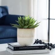 Uttermost Doha Succulent Accent Botanicals