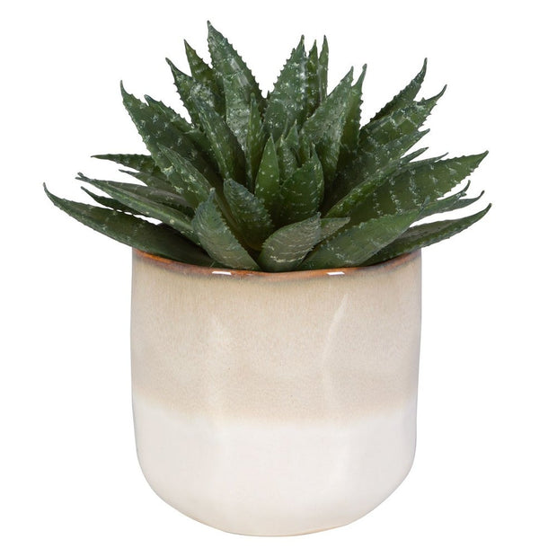 Uttermost Doha Succulent Accent Botanicals