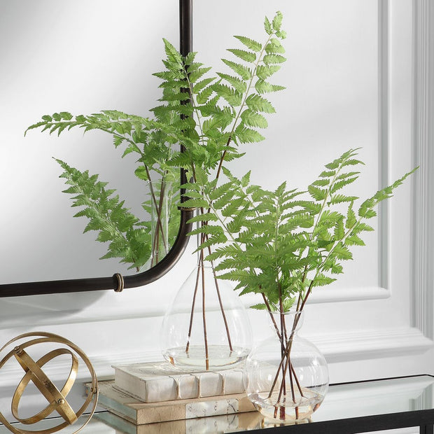 Uttermost Country Ferns, Set Of Two Botanicals