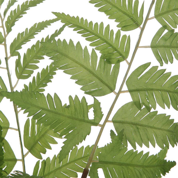 Uttermost Country Ferns, Set Of Two Botanicals