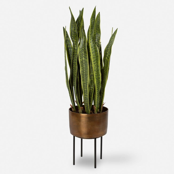 Uttermost Fasita Planter Botanicals