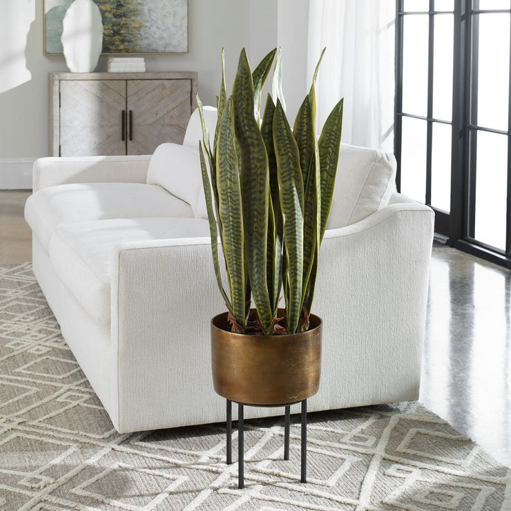 Uttermost Fasita Planter Botanicals