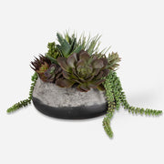 Uttermost Gobi Succulent Centerpiece Botanicals