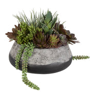 Uttermost Gobi Succulent Centerpiece Botanicals