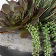 Uttermost Gobi Succulent Centerpiece Botanicals