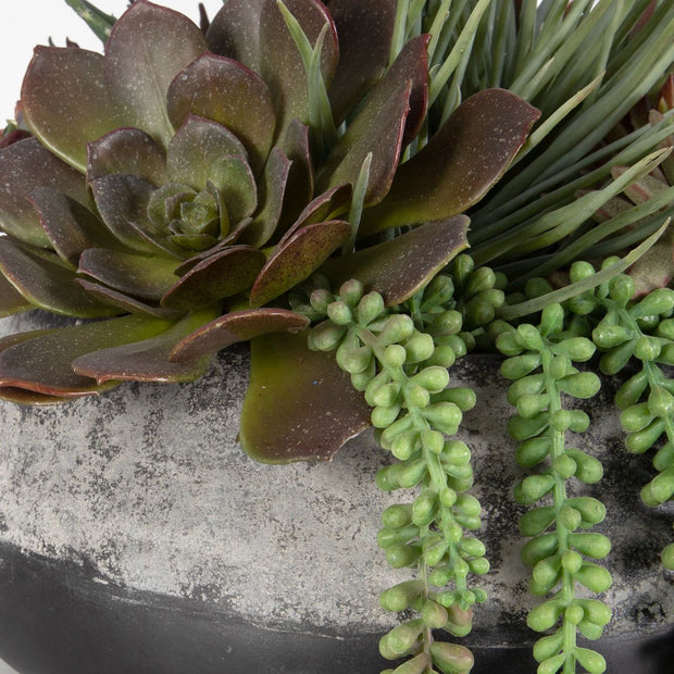 Uttermost Gobi Succulent Centerpiece Botanicals