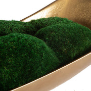 Uttermost Venice Moss Centerpiece Botanicals