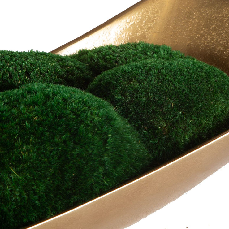 Uttermost Venice Moss Centerpiece Botanicals