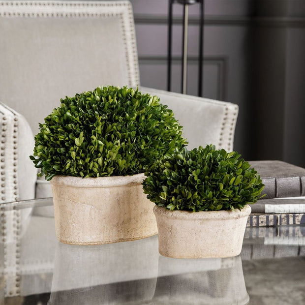 Uttermost Preserved Boxwood Oval Domes, Set Of Two Botanicals