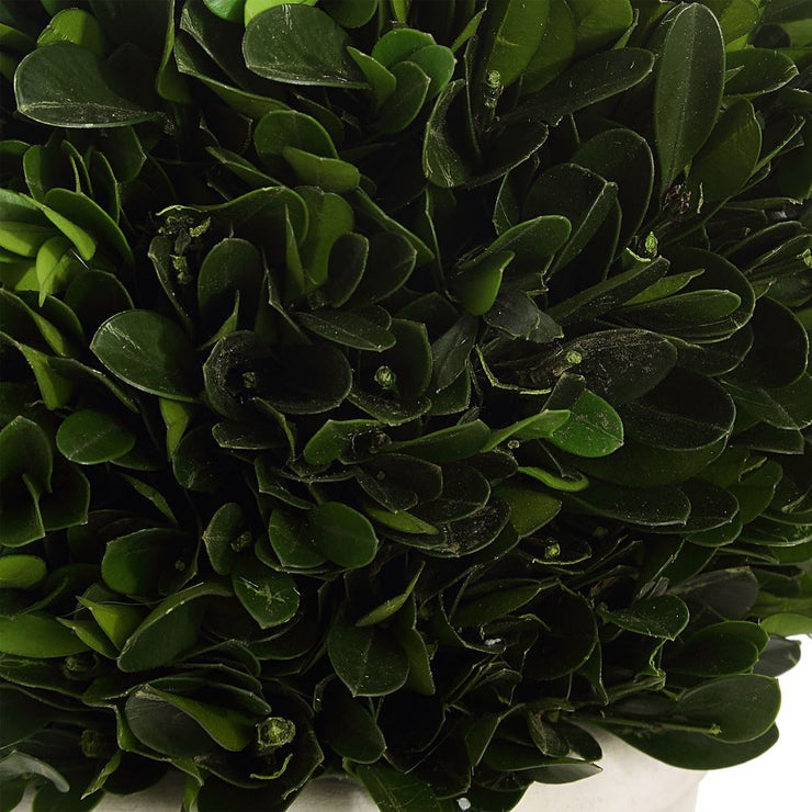 Uttermost Preserved Boxwood Domes, Set Of Two Botanicals