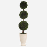 Uttermost Preserved Boxwood Triple Topiary Botanicals