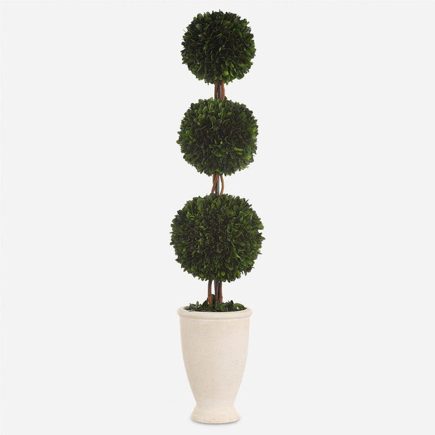 Uttermost Preserved Boxwood Triple Topiary Botanicals