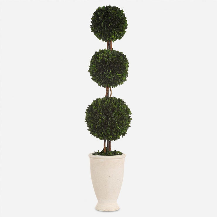 Uttermost Preserved Boxwood Triple Topiary Botanicals