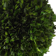 Uttermost Preserved Boxwood Triple Topiary Botanicals