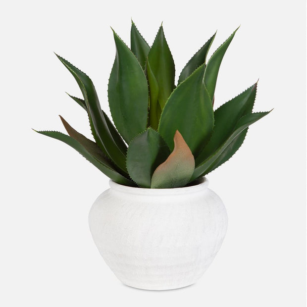 Uttermost Tierra Agave Centerpiece Botanicals