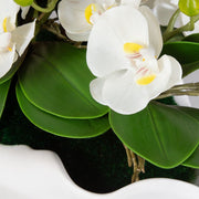 Uttermost Opulence Orchid Botanicals