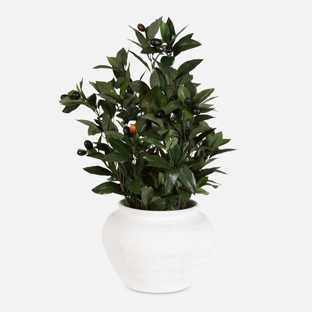 Uttermost Elena Olive Centerpiece Botanicals