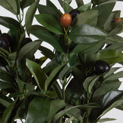 Uttermost Elena Olive Centerpiece Botanicals