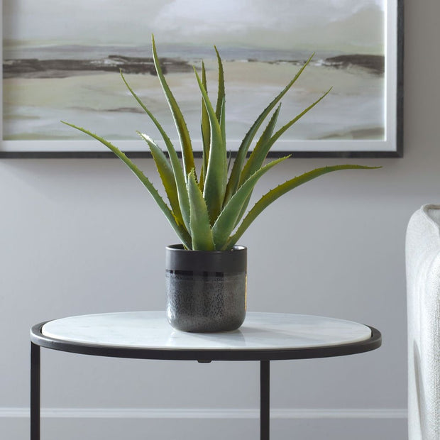Uttermost Tucson Aloe Planter Botanicals