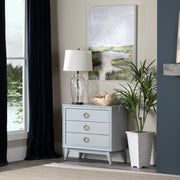Crestview Collection Pomeroy Powder Blue Chest