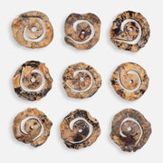 Uttermost Corkscrew  Wood Wall Decor ~ Set Of 9