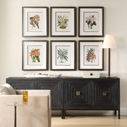 Uttermost Orchid Botanical Framed Prints ~ Set Of 6