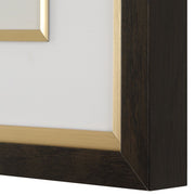 Uttermost Orchid Botanical Framed Prints ~ Set Of 6