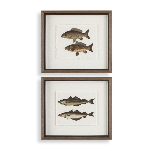Uttermost The Catch Set of 2 Fish Framed Prints