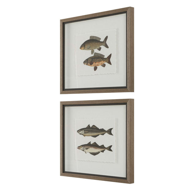Uttermost The Catch Set of 2 Fish Framed Prints
