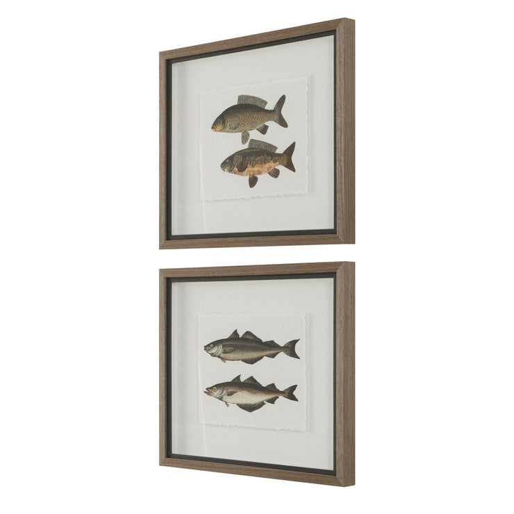 Uttermost The Catch Set of 2 Fish Framed Prints