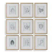 Uttermost Natures Script Framed Set of 9 Botanical Prints