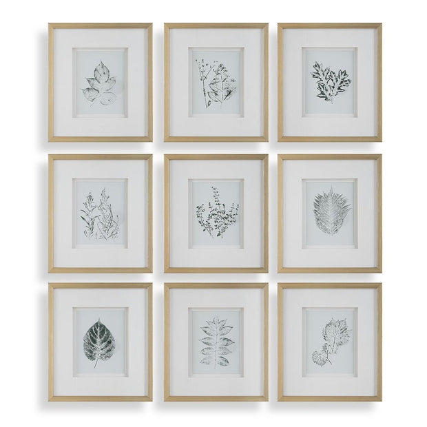 Uttermost Natures Script Framed Set of 9 Botanical Prints