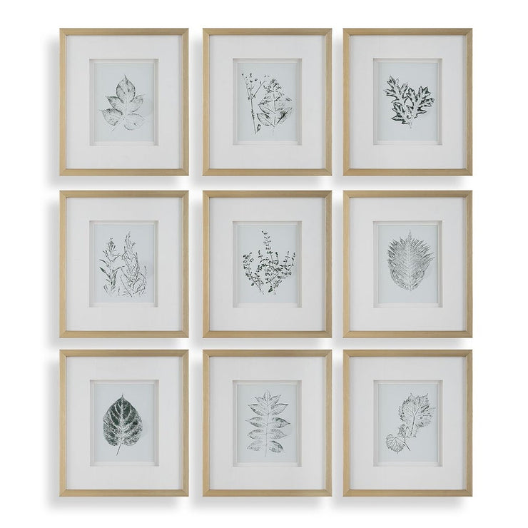 Uttermost Natures Script Framed Set of 9 Botanical Prints