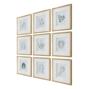 Uttermost Natures Script Framed Set of 9 Botanical Prints