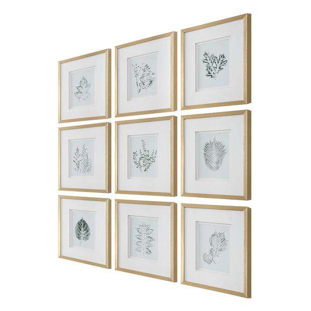 Uttermost Natures Script Framed Set of 9 Botanical Prints