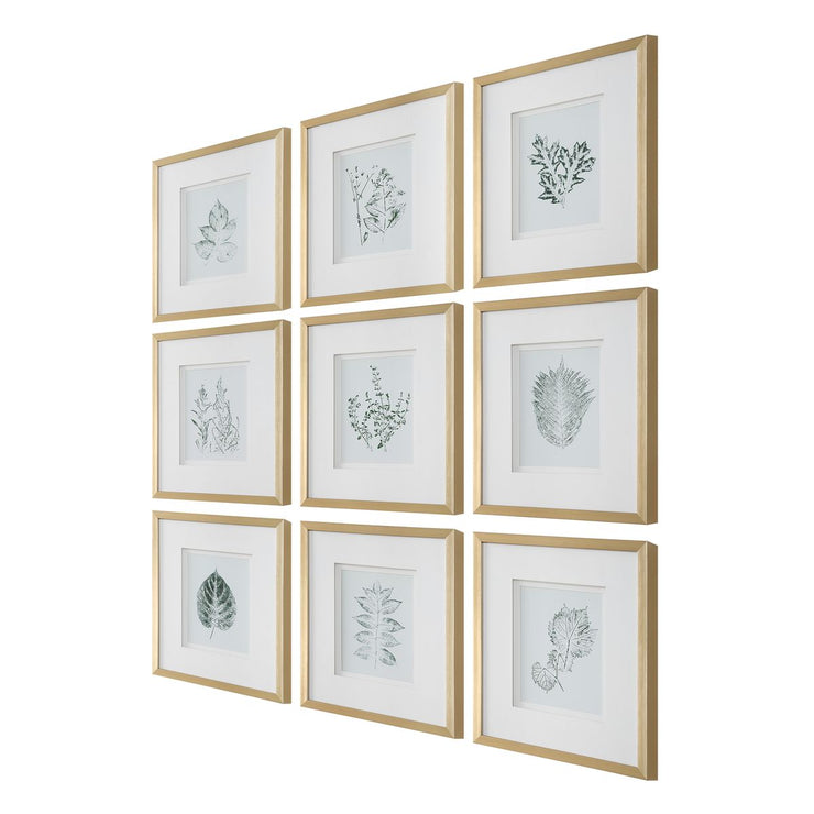 Uttermost Natures Script Framed Set of 9 Botanical Prints