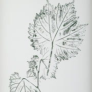 Uttermost Natures Script Framed Set of 9 Botanical Prints