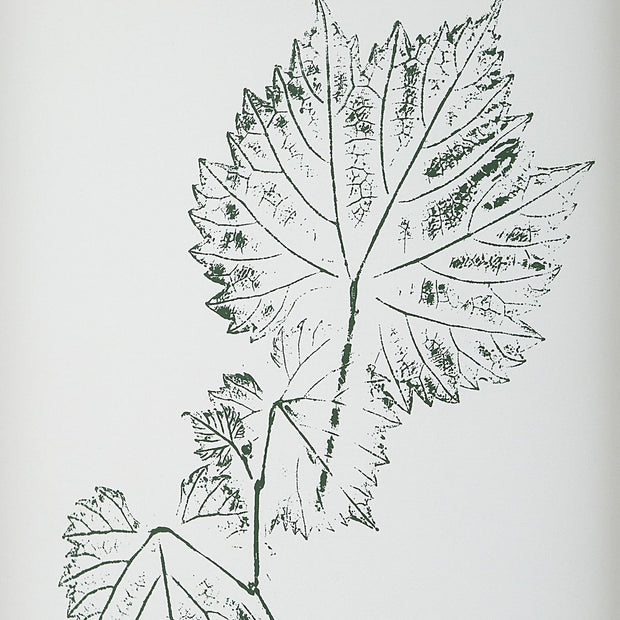 Uttermost Natures Script Framed Set of 9 Botanical Prints