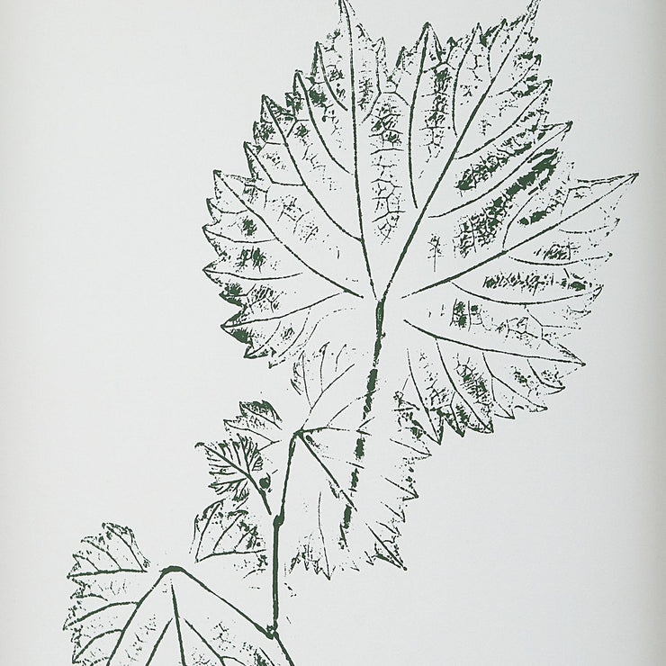 Uttermost Natures Script Framed Set of 9 Botanical Prints