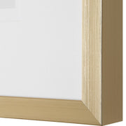 Uttermost Natures Script Framed Set of 9 Botanical Prints