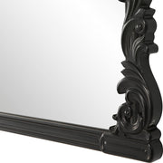 Casa Bella Living Satin Black Baroque Style Mirror