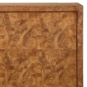 Uttermost Jethro Rich Burl 2 Door Cabinet With Gold Accents