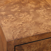 Uttermost Jethro Rich Burl 2 Door Cabinet With Gold Accents