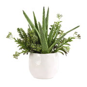 Uttermost Sundown Textural Succulents With White Gloss Ceramic Planter